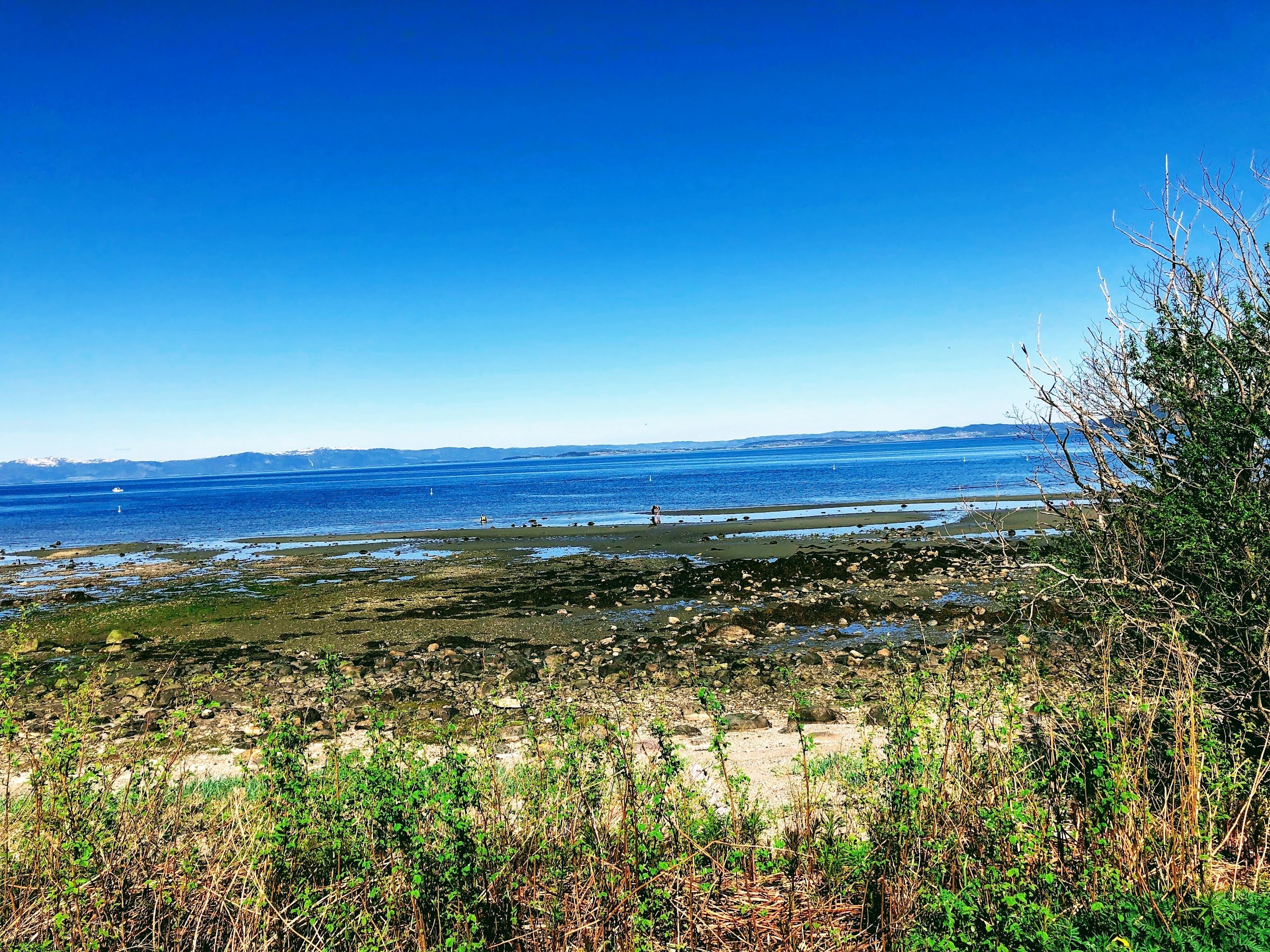 Midtsandtangen Friluftsområde